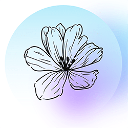 recensione fiori giganti